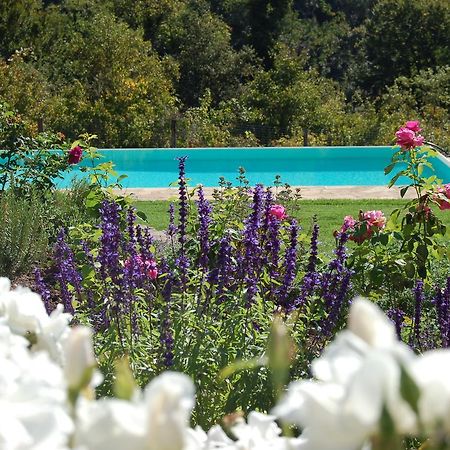B&B Podere Il Colto Gaiole in Chianti Extérieur photo
