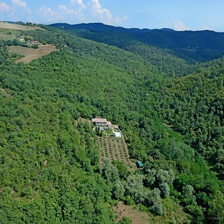 B&B Podere Il Colto Gaiole in Chianti Extérieur photo