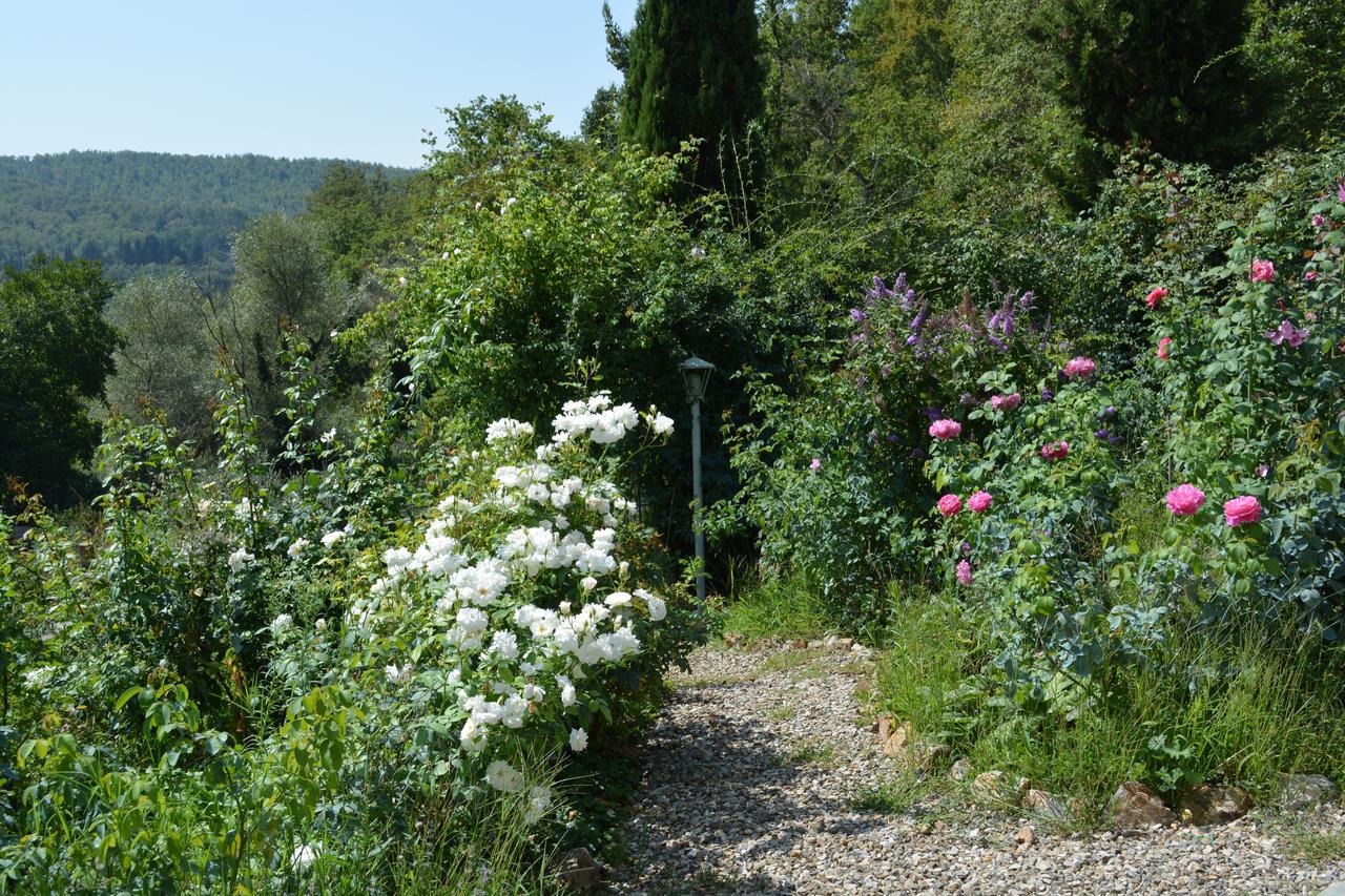 B&B Podere Il Colto Gaiole in Chianti Extérieur photo