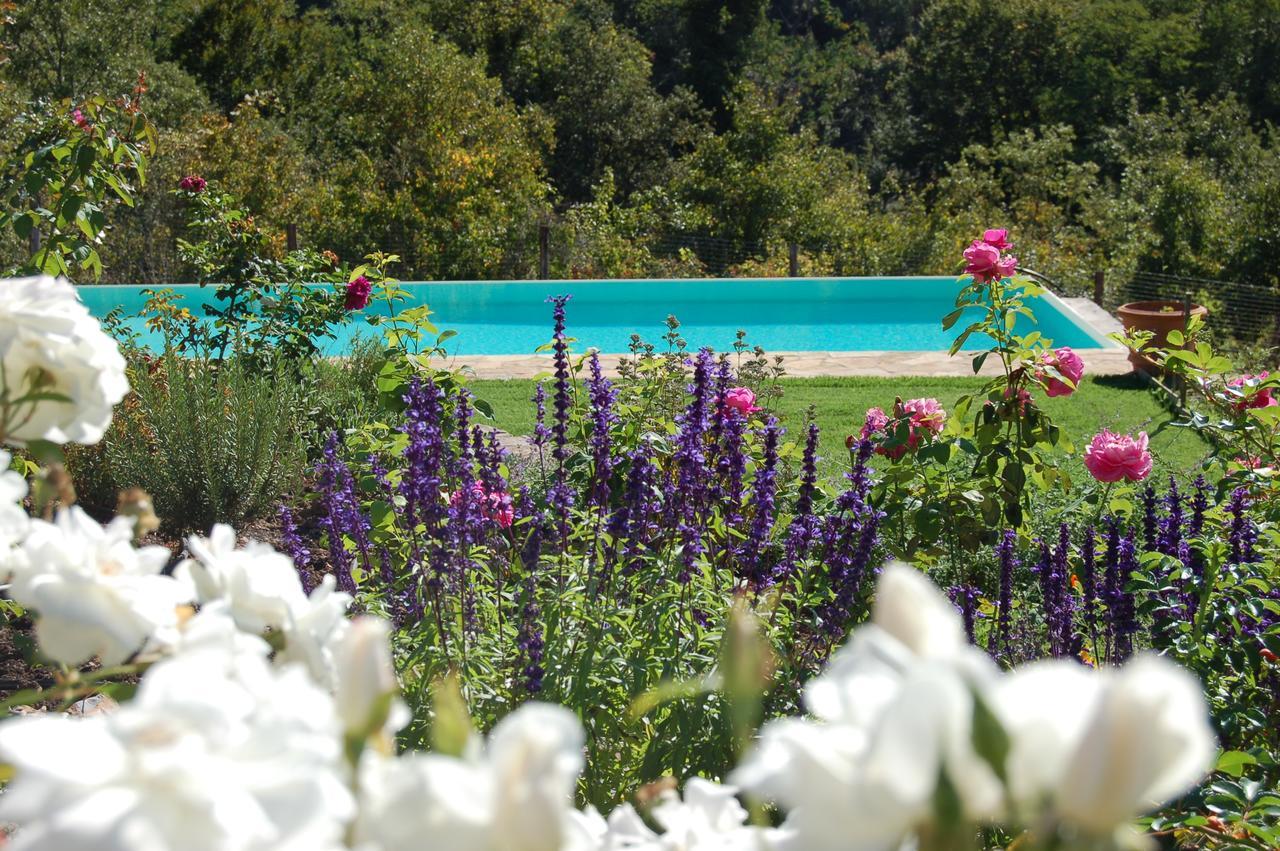 B&B Podere Il Colto Gaiole in Chianti Extérieur photo